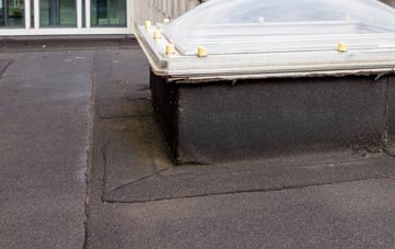 disadvantages of Fish Loughan flat roofs