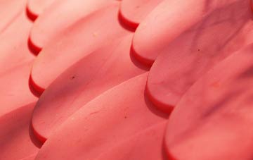 Fish Loughan plastic roof costs