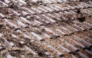 Fish Loughan roof cleaning companies