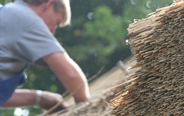 professional Fish Loughan thatchers