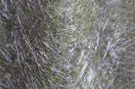 Fish Loughan fibreglass roof work